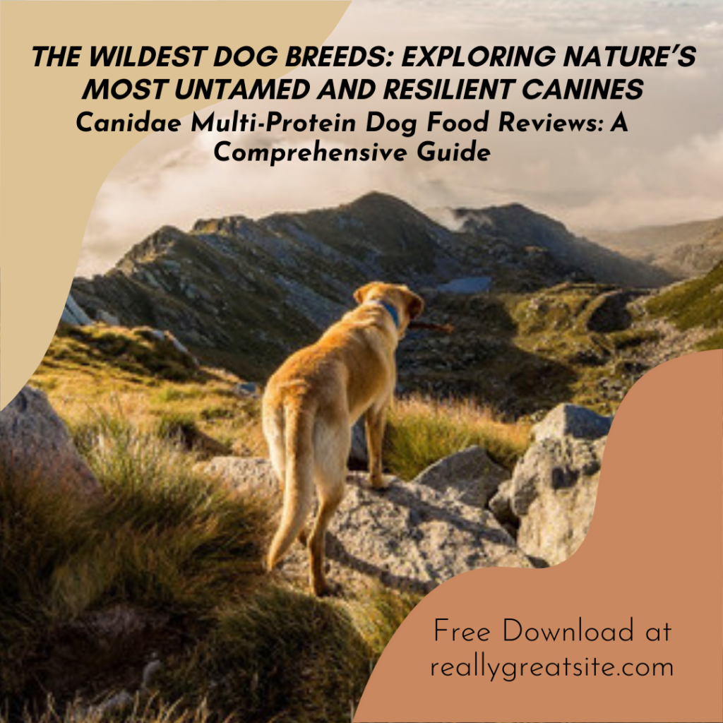 The Wildest Dog Breeds: Exploring the Most Spirited and Independent Canines