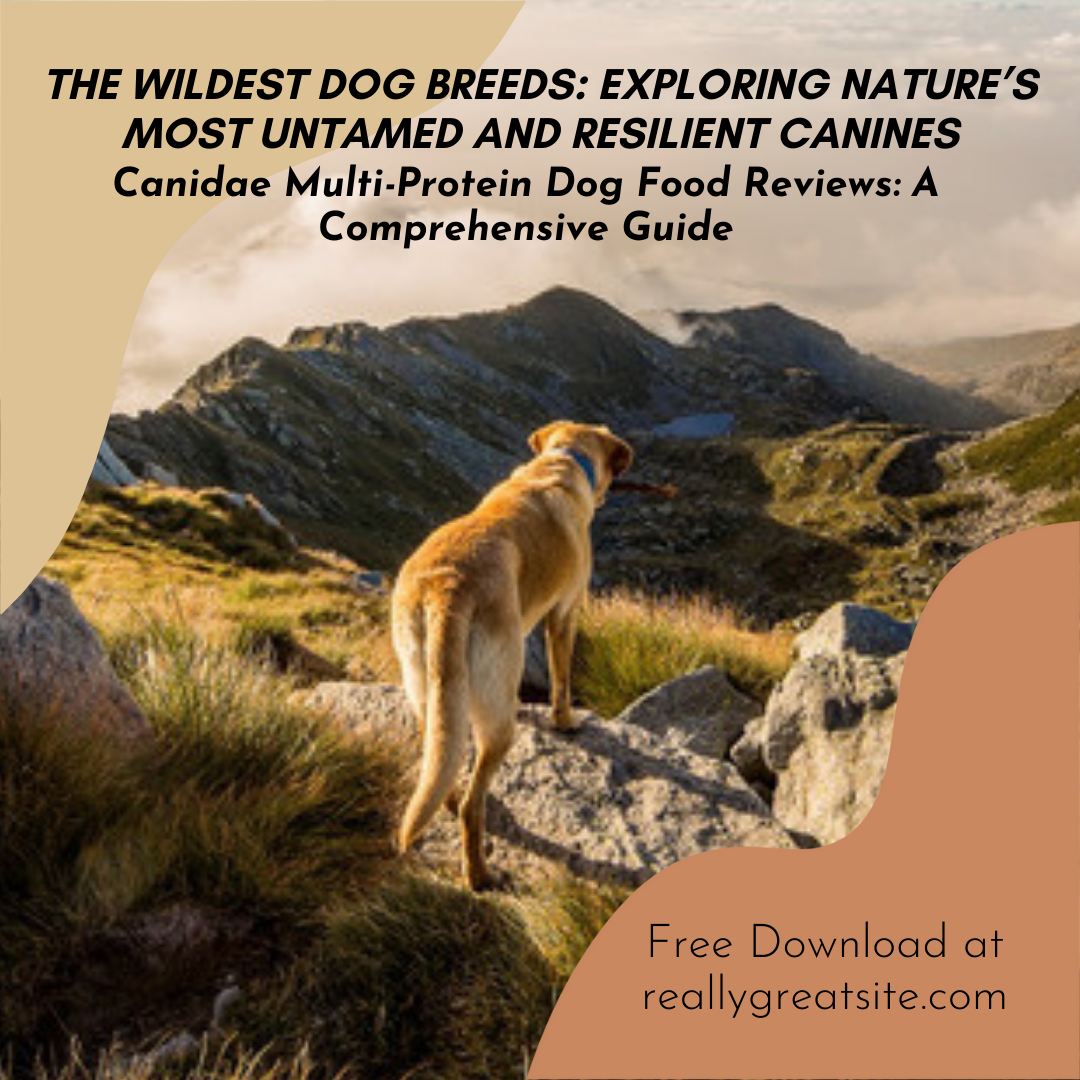 The Wildest Dog Breeds: Exploring the Most Spirited and Independent Canines
